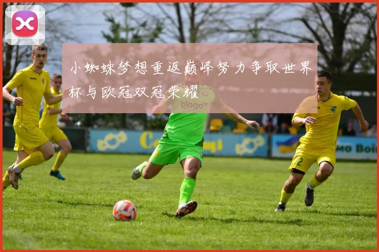 小蜘蛛梦想重返巅峰努力争取世界杯与欧冠双冠荣耀